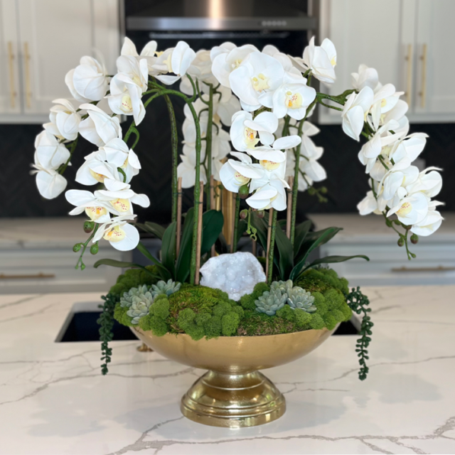 Orchids & Succulents in a Bowl Video Course