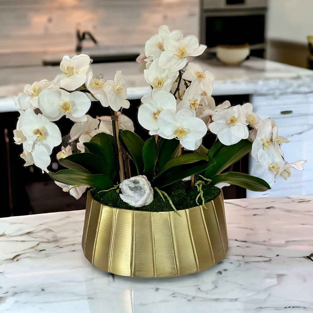 Orchids in Helena Boat