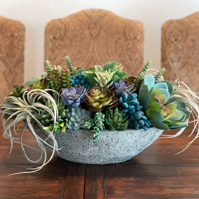 Succulents in Stone Bowl