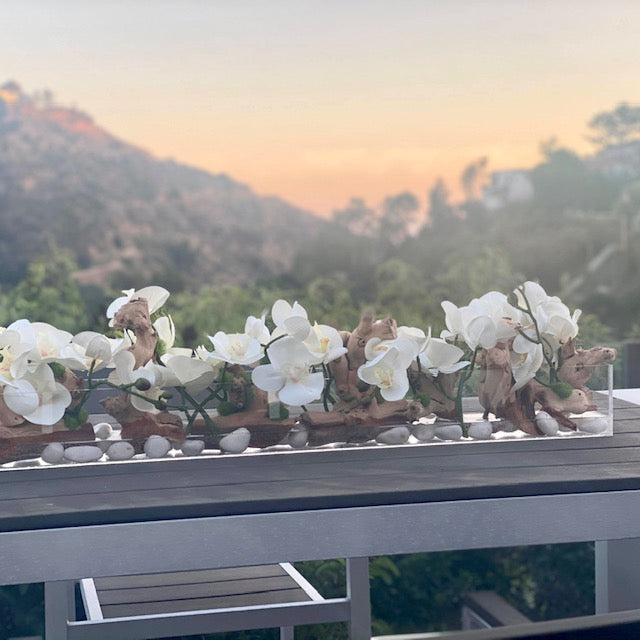 Orchids & Grapevine in Acrylic Planter