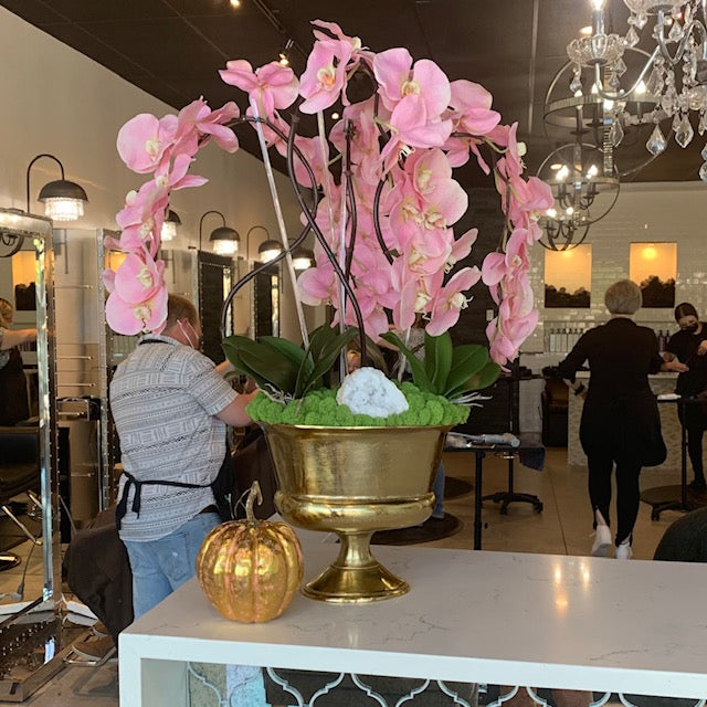 Pink Orchids in Statue Bowl