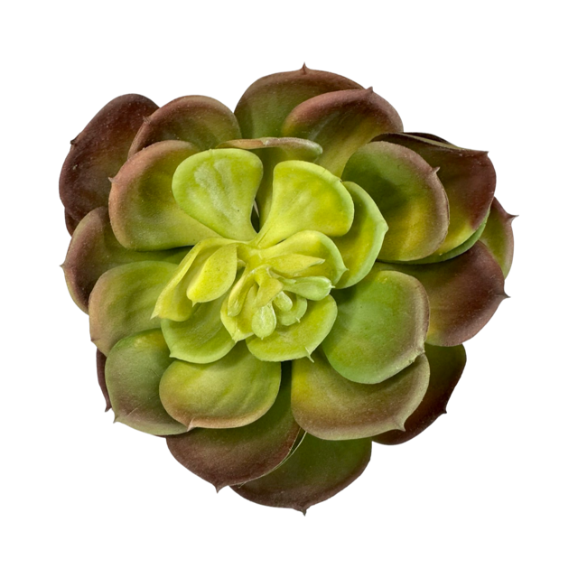 Artificial Echeveria Succulent Pick