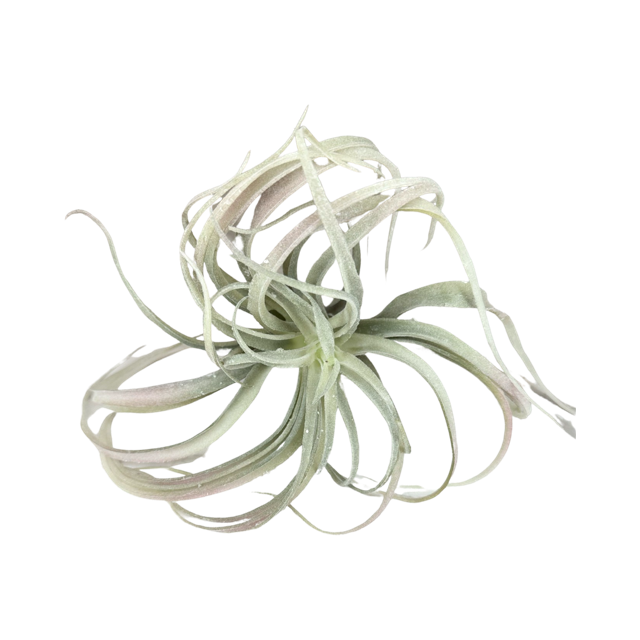 Artificial Velvet Air Plant Pick