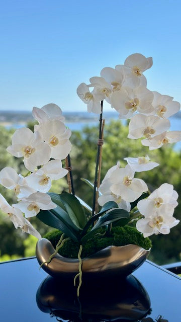 Premium Orchid Phalaenopsis 37.5''