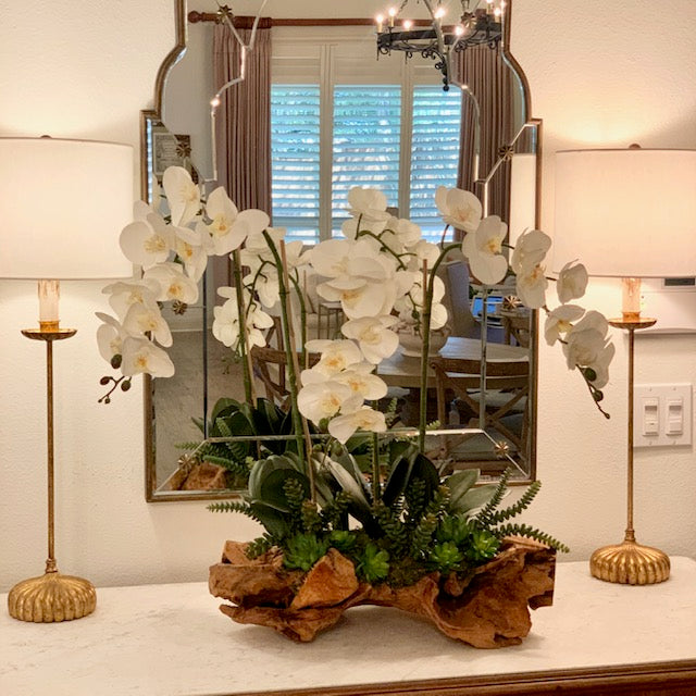 Orchids & Succulents in Wood Bowl