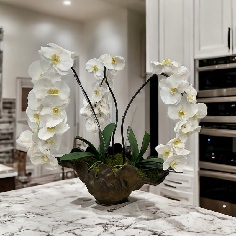 Large Orchids in Meteor Bowl