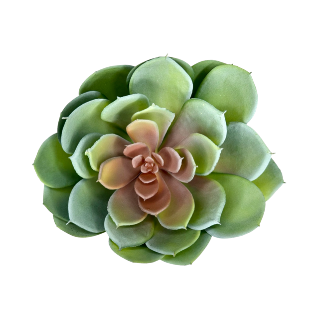 Artificial Sedeveria Succulent Pick
