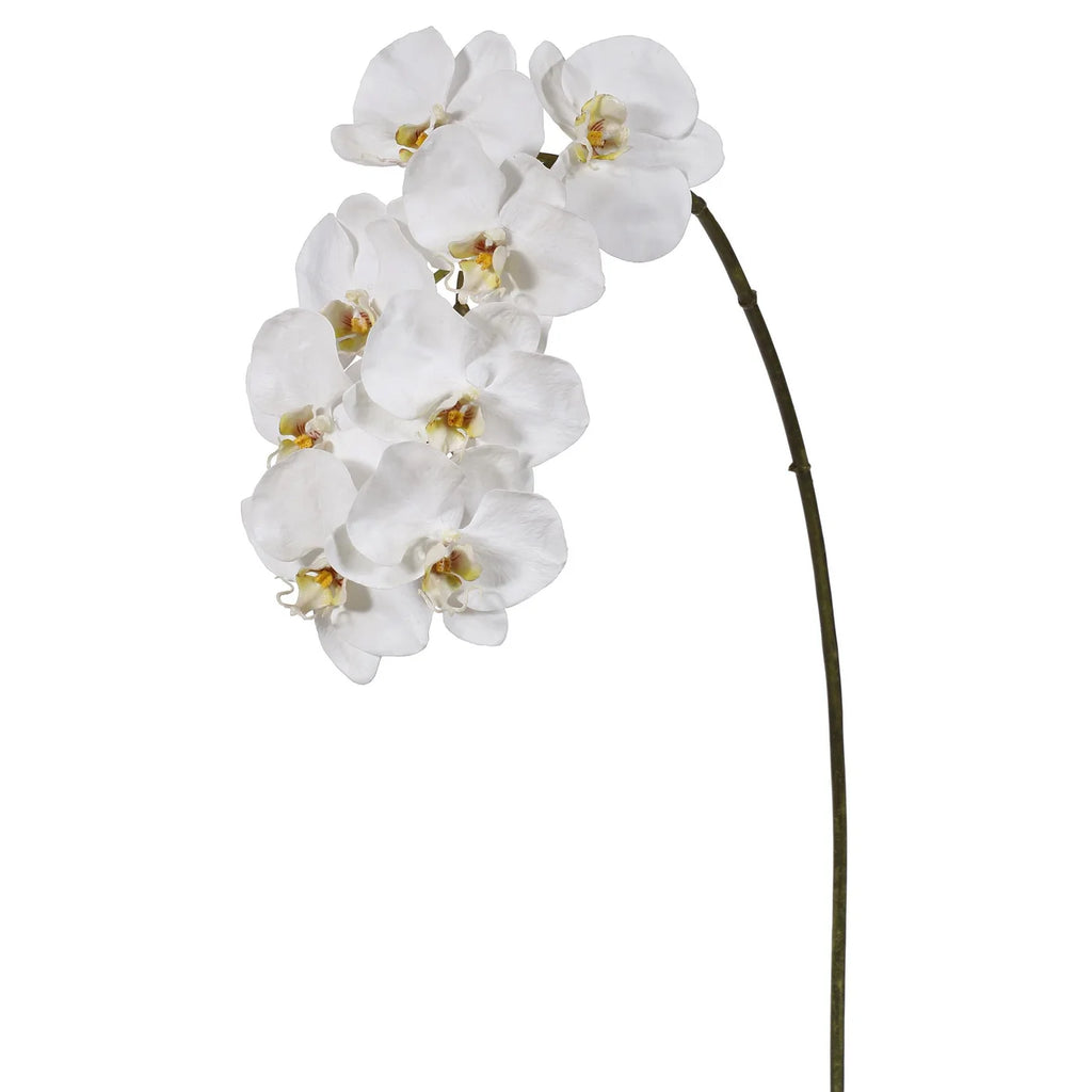 Premium Orchid Phalaenopsis 37.5''