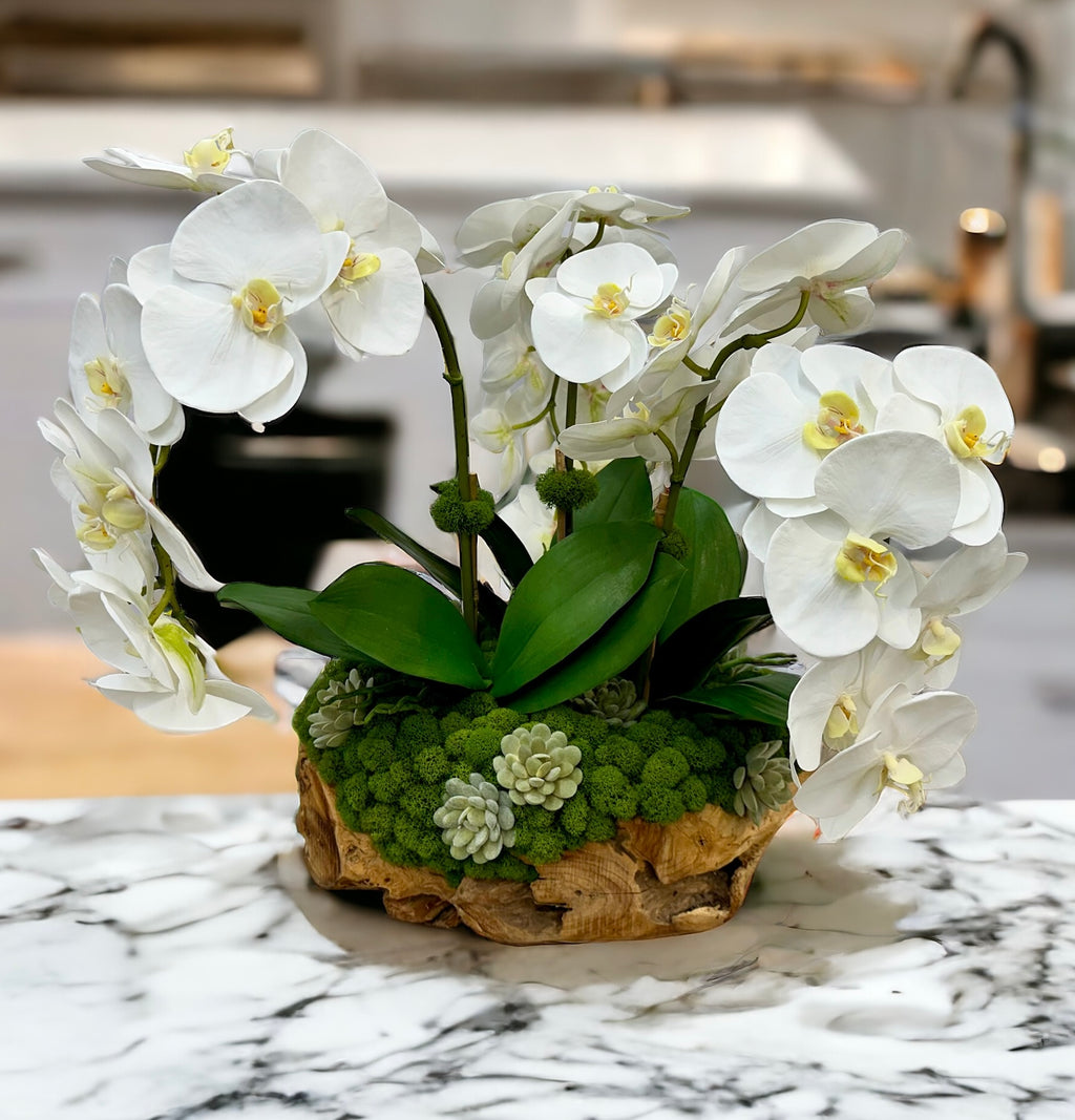 Large Orchids & Succulents in Wood Bowl