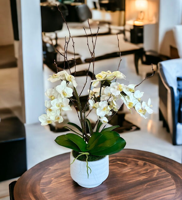 Orchid Sprays & Willow in Andrade Pot