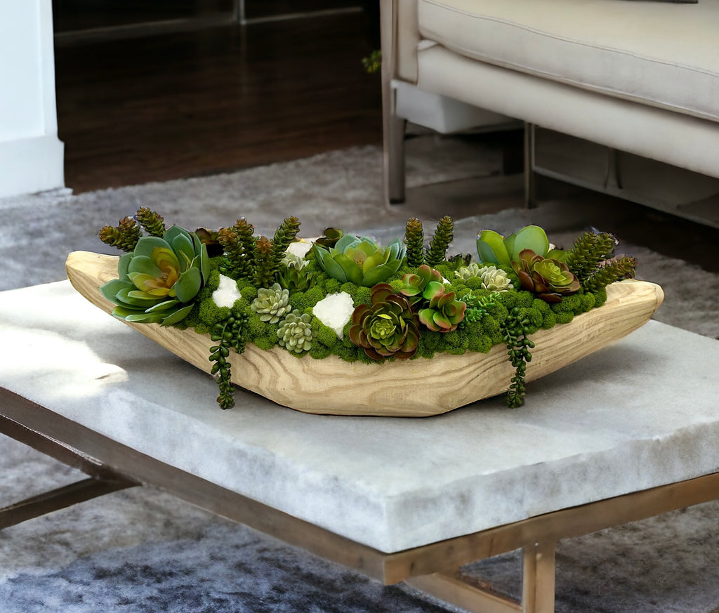 Succulents & Moss in Fortune Boat