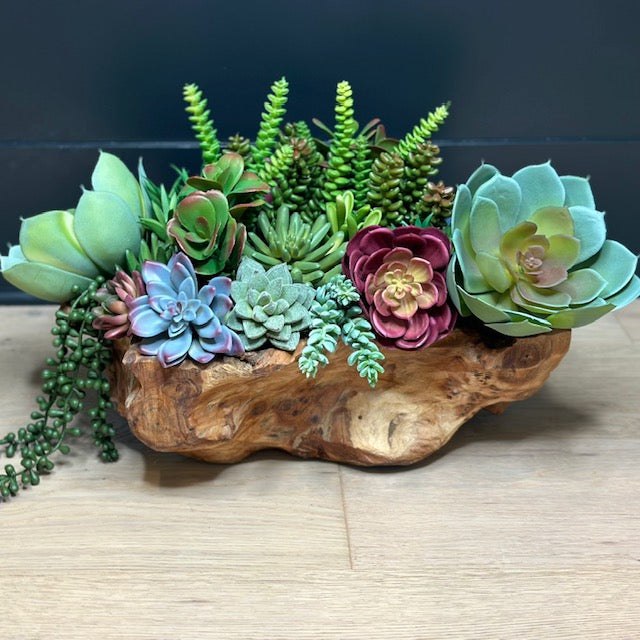 succulent bowl diy DIY Succulents in Wood Bowl Bundle