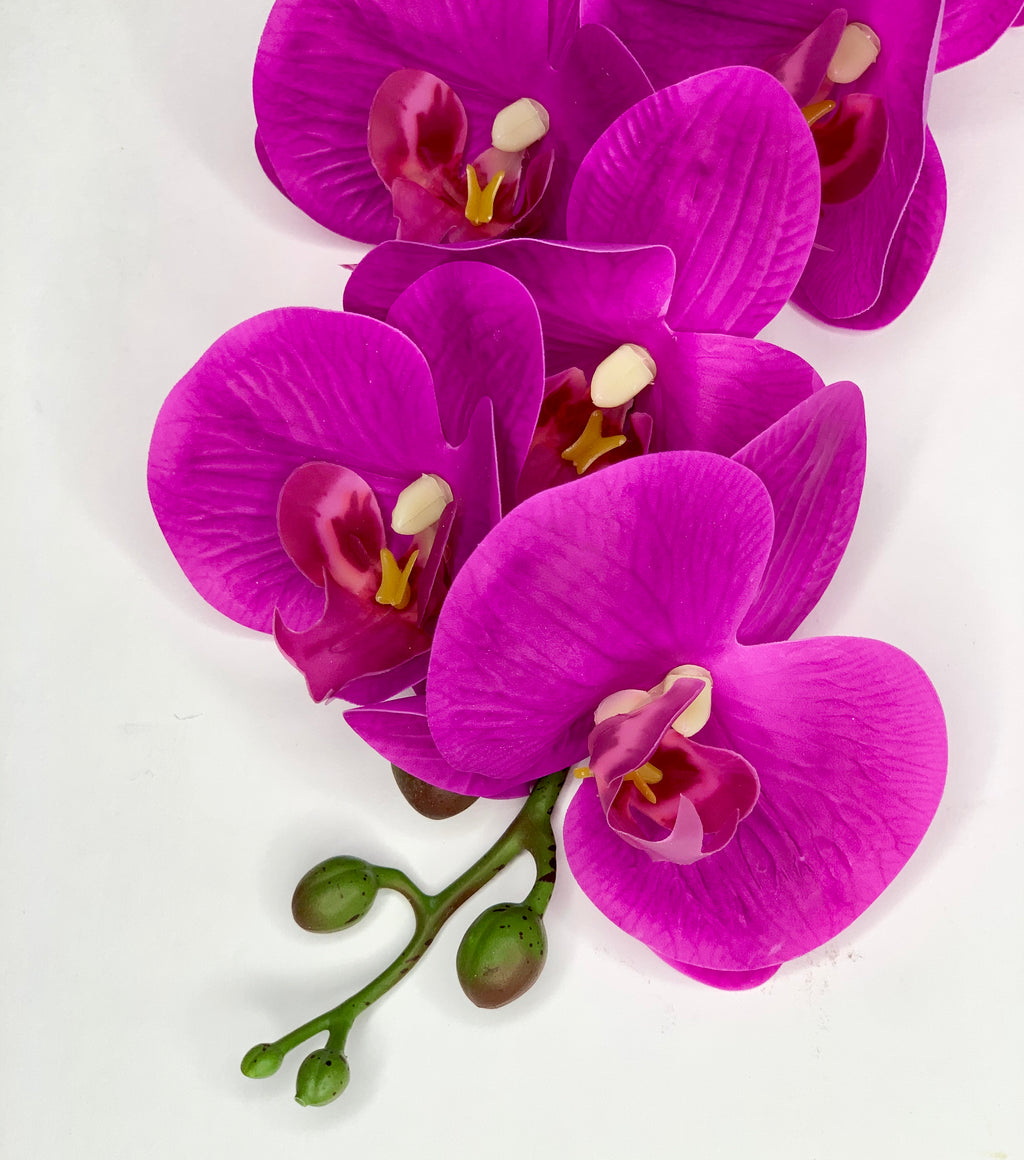 Fuchsia Orchid Stem with Orchid Leaves
