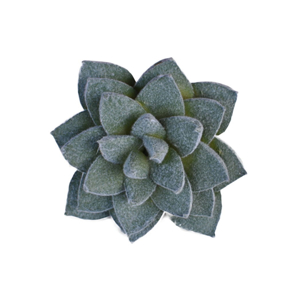 Artificial Echeveria Velvet Succulent Pick