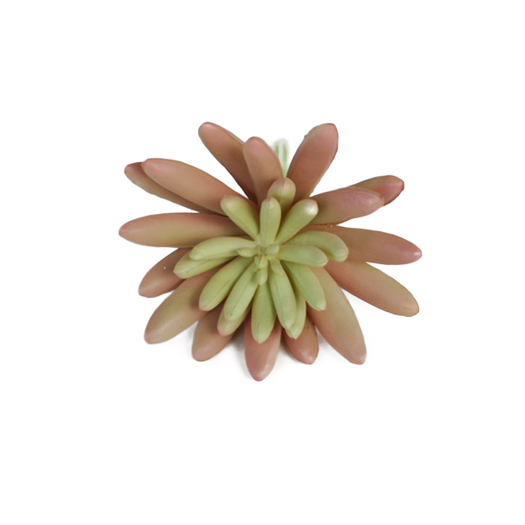 Artificial Spike Aeonium Succulent Pick