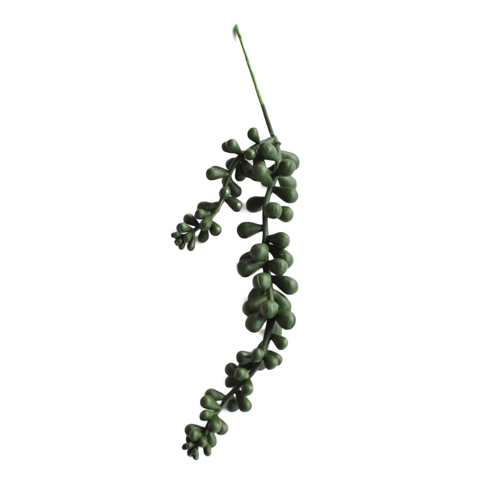 Artificial Burro's Tail Succulent Pick