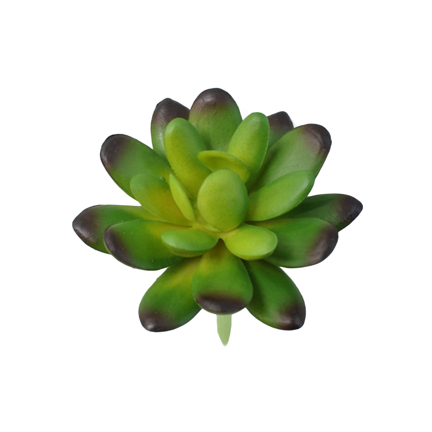 Premium Realistic Faux Succulents: Lifelike Artificial Plants – Nicole Jolee