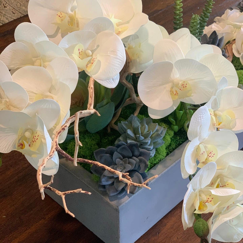 White Orchid Stem