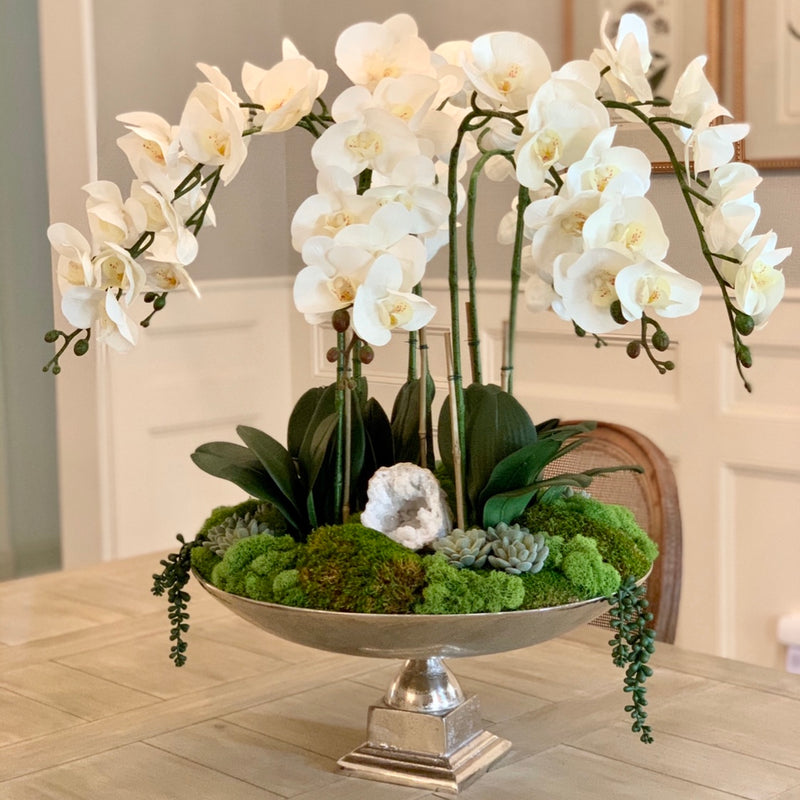 White Orchid Stem