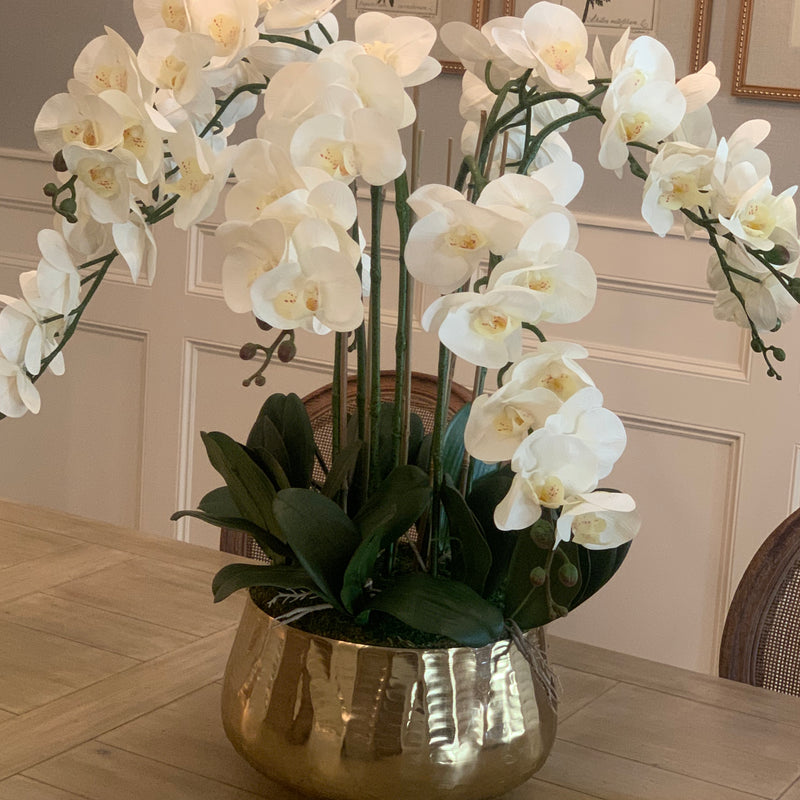 White Orchid Stem